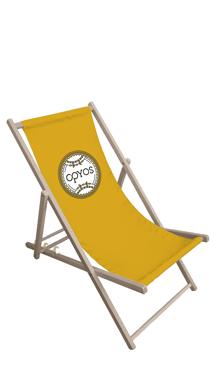 Beach Chair